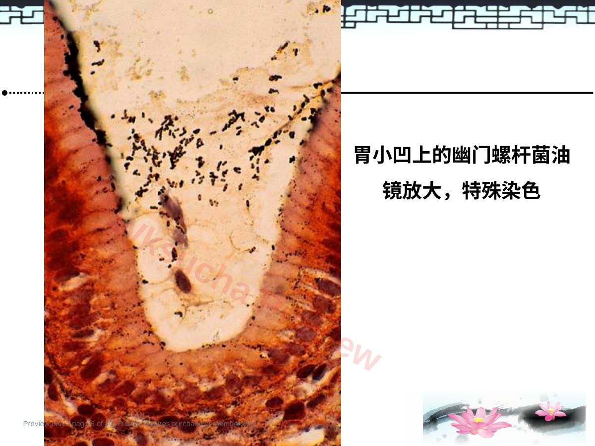 预览第 6 页
