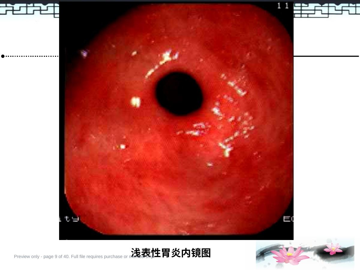 预览第 9 页