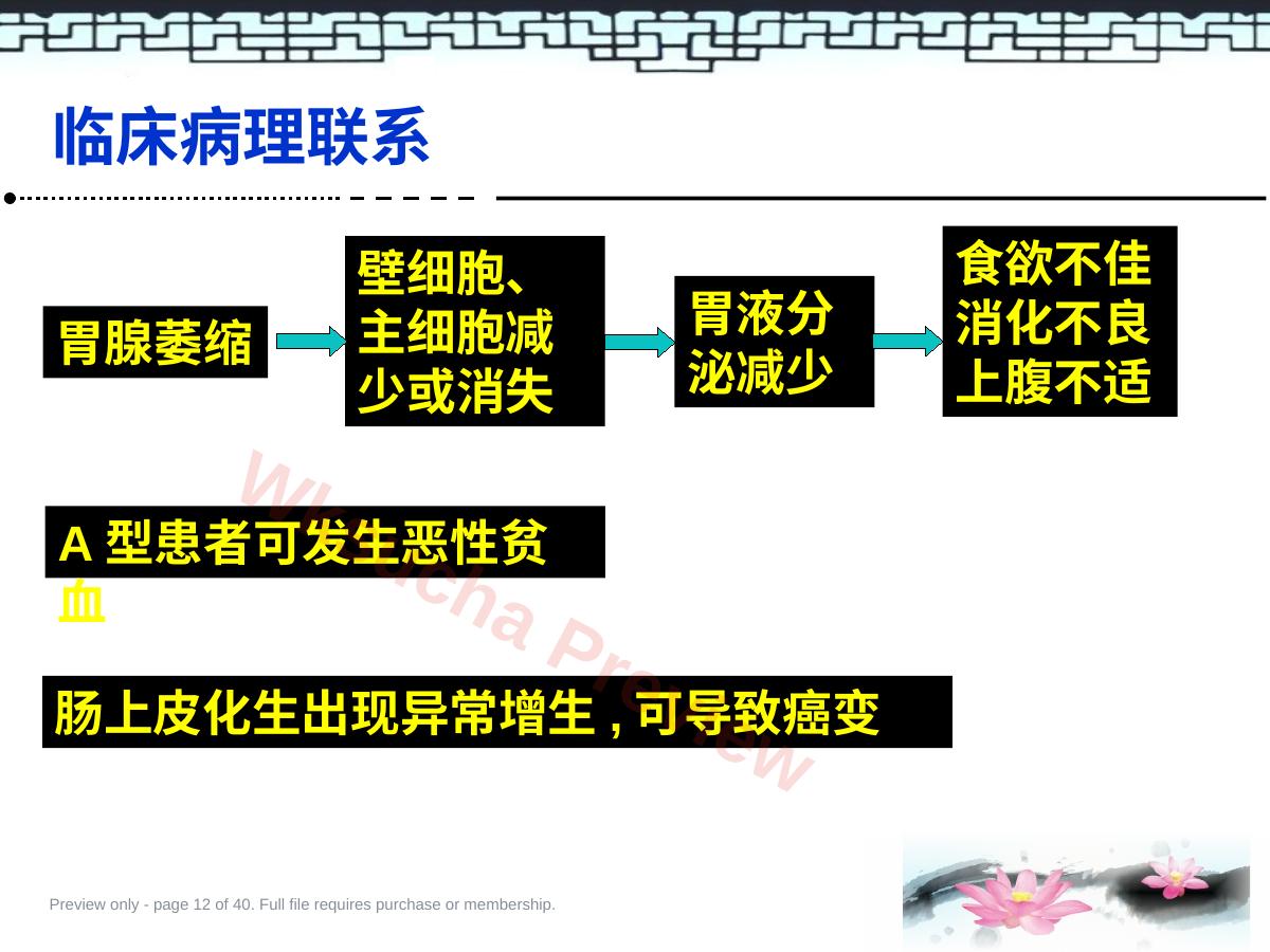预览第 12 页