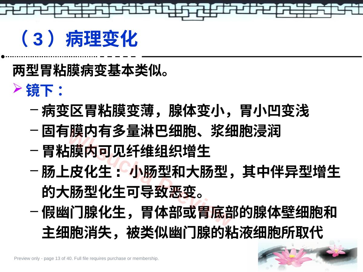 预览第 13 页