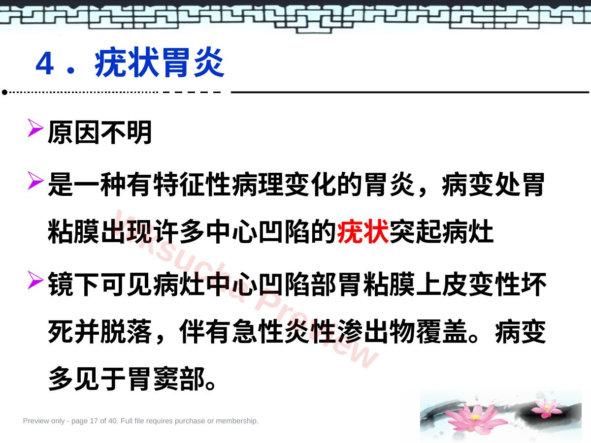 预览第 17 页