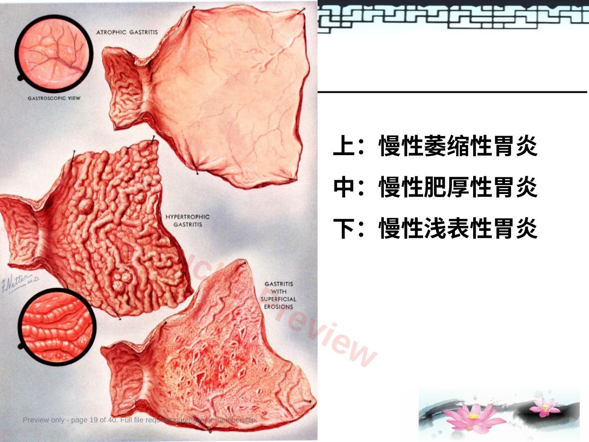 预览第 19 页