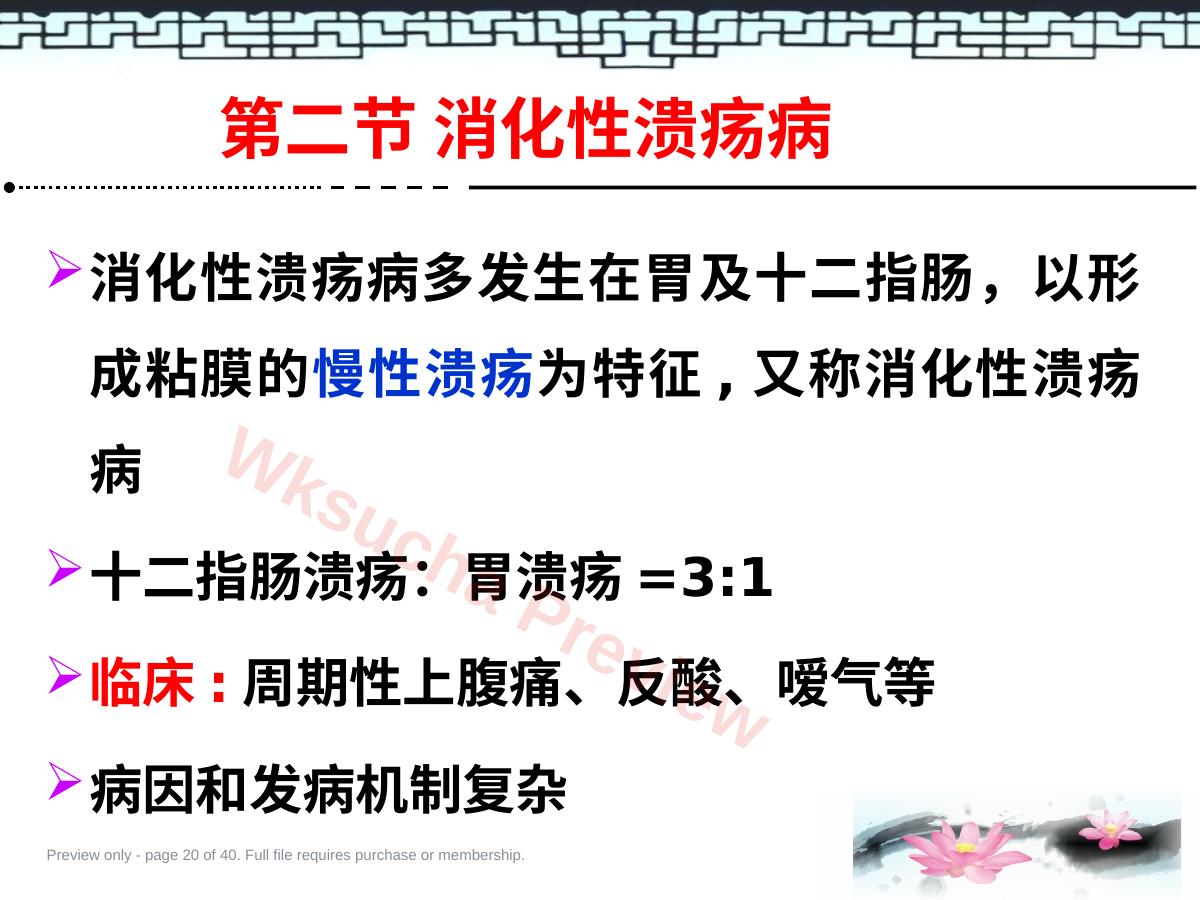 预览第 20 页