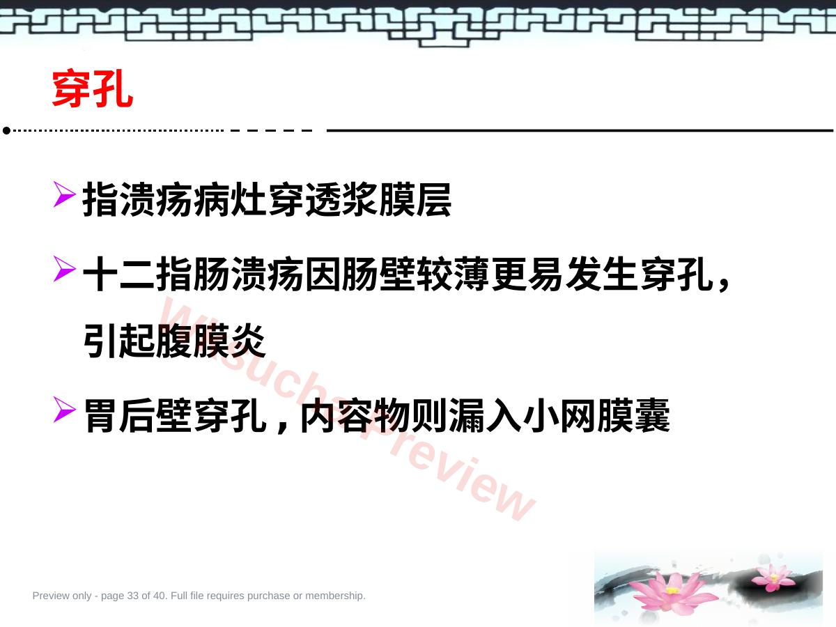 预览第 33 页