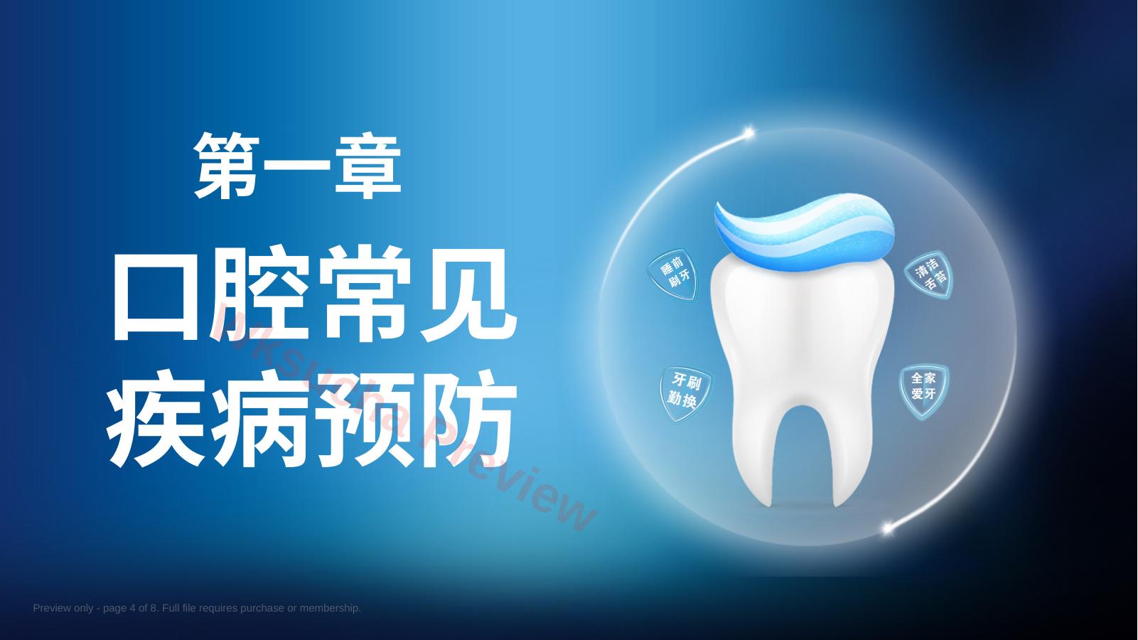预览第 4 页