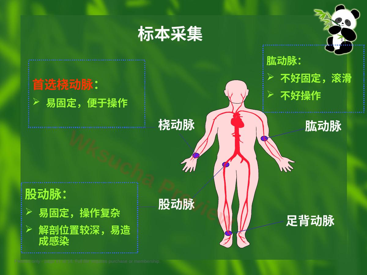 预览第 12 页