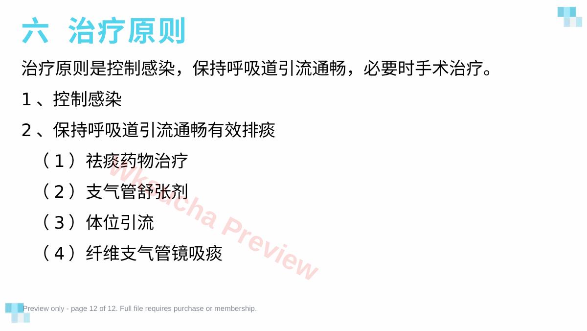 预览第 12 页