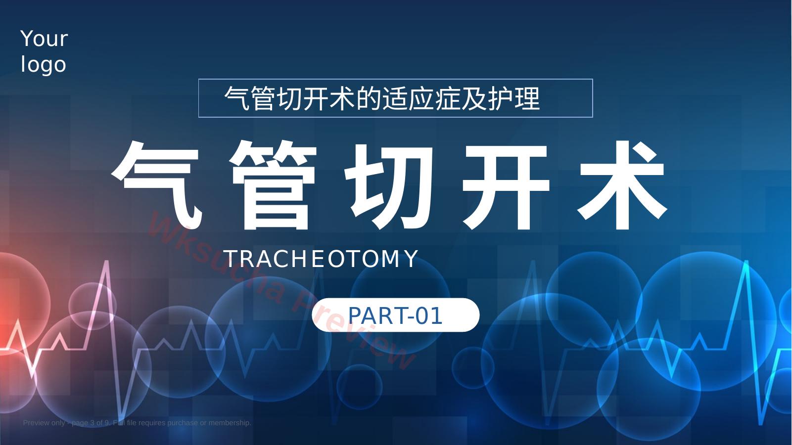 预览第 3 页