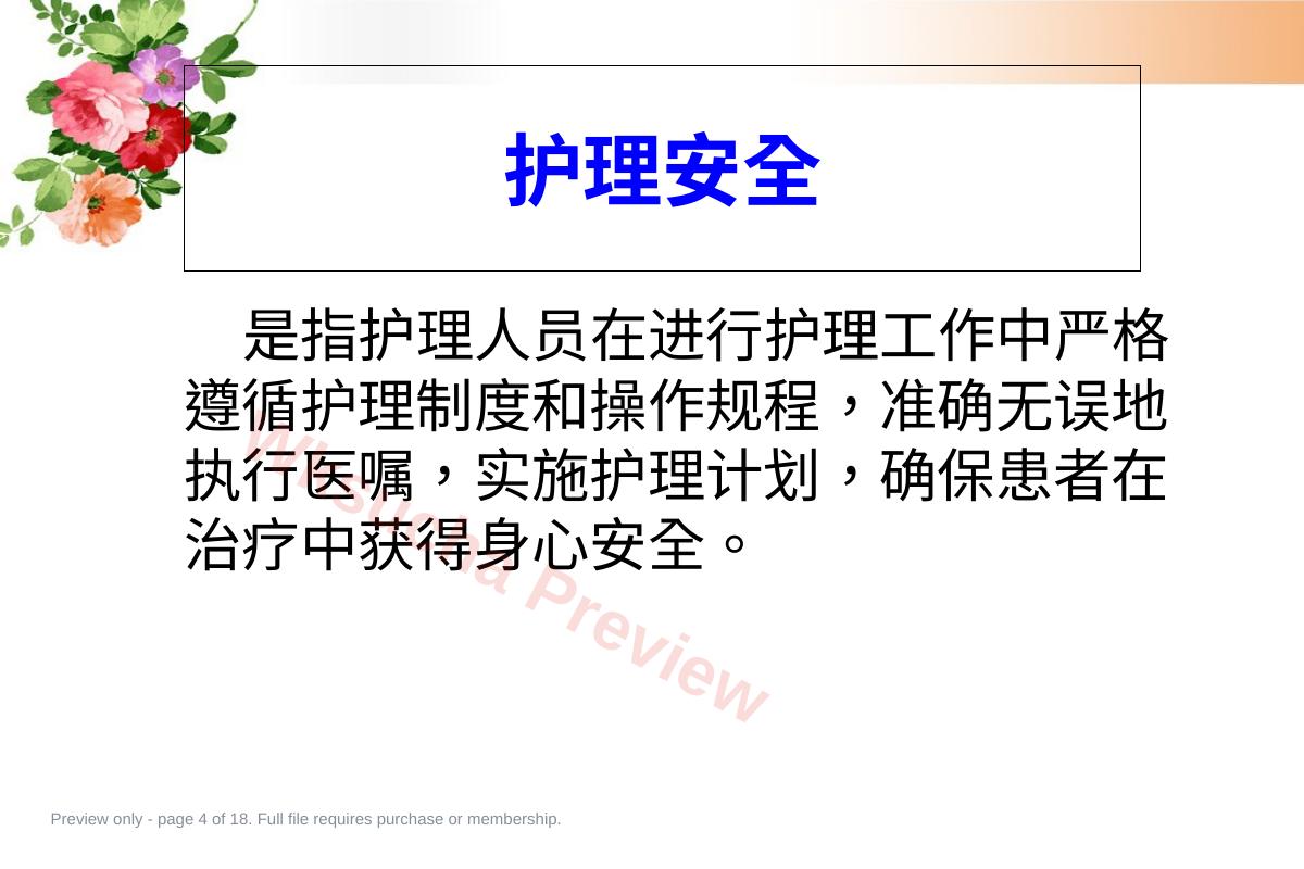 预览第 4 页