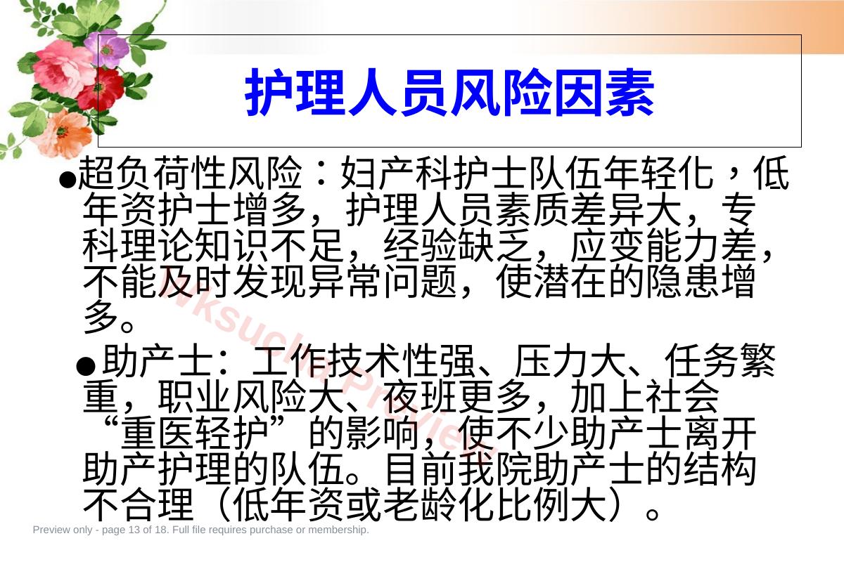 预览第 13 页