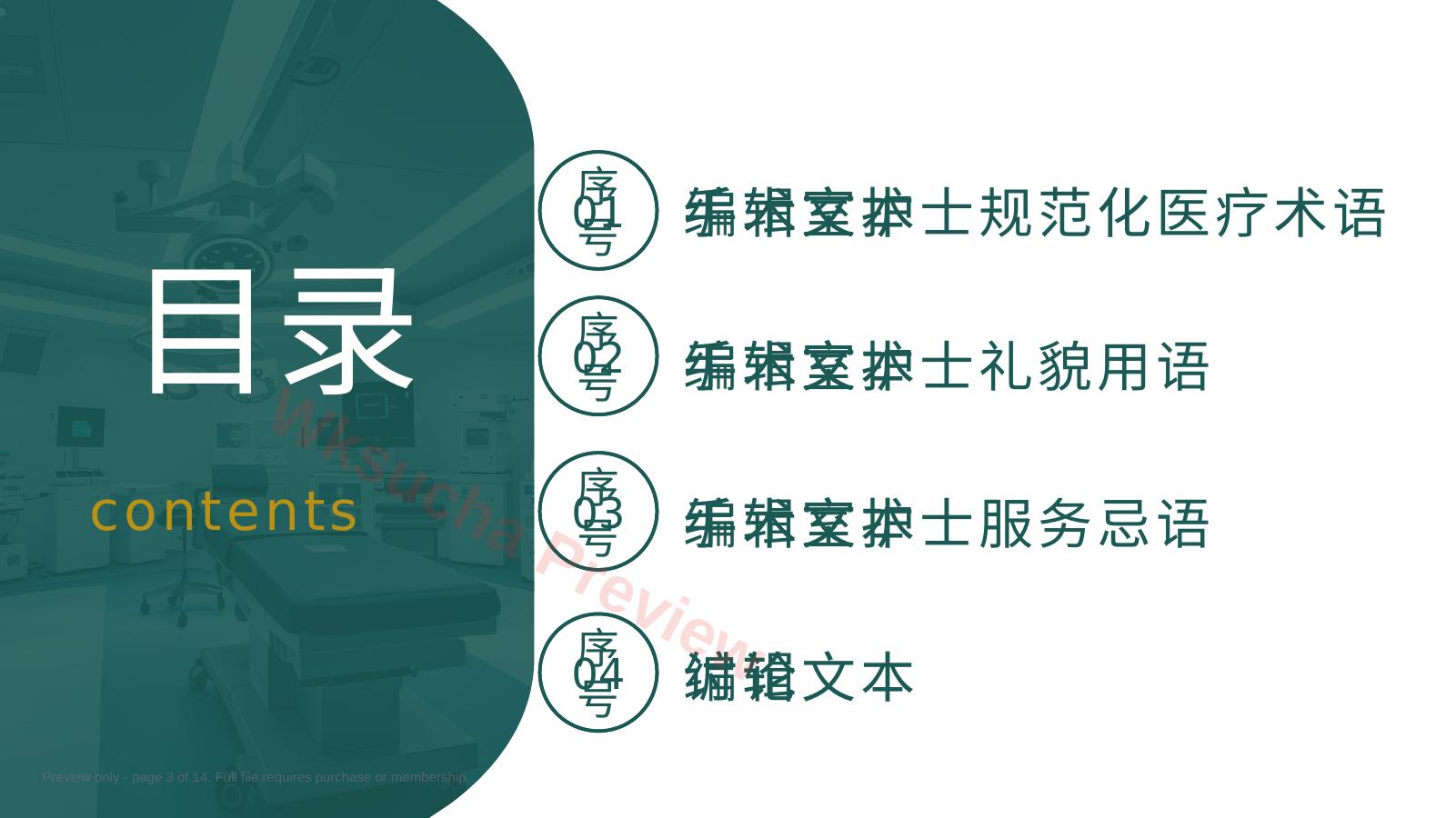 预览第 3 页