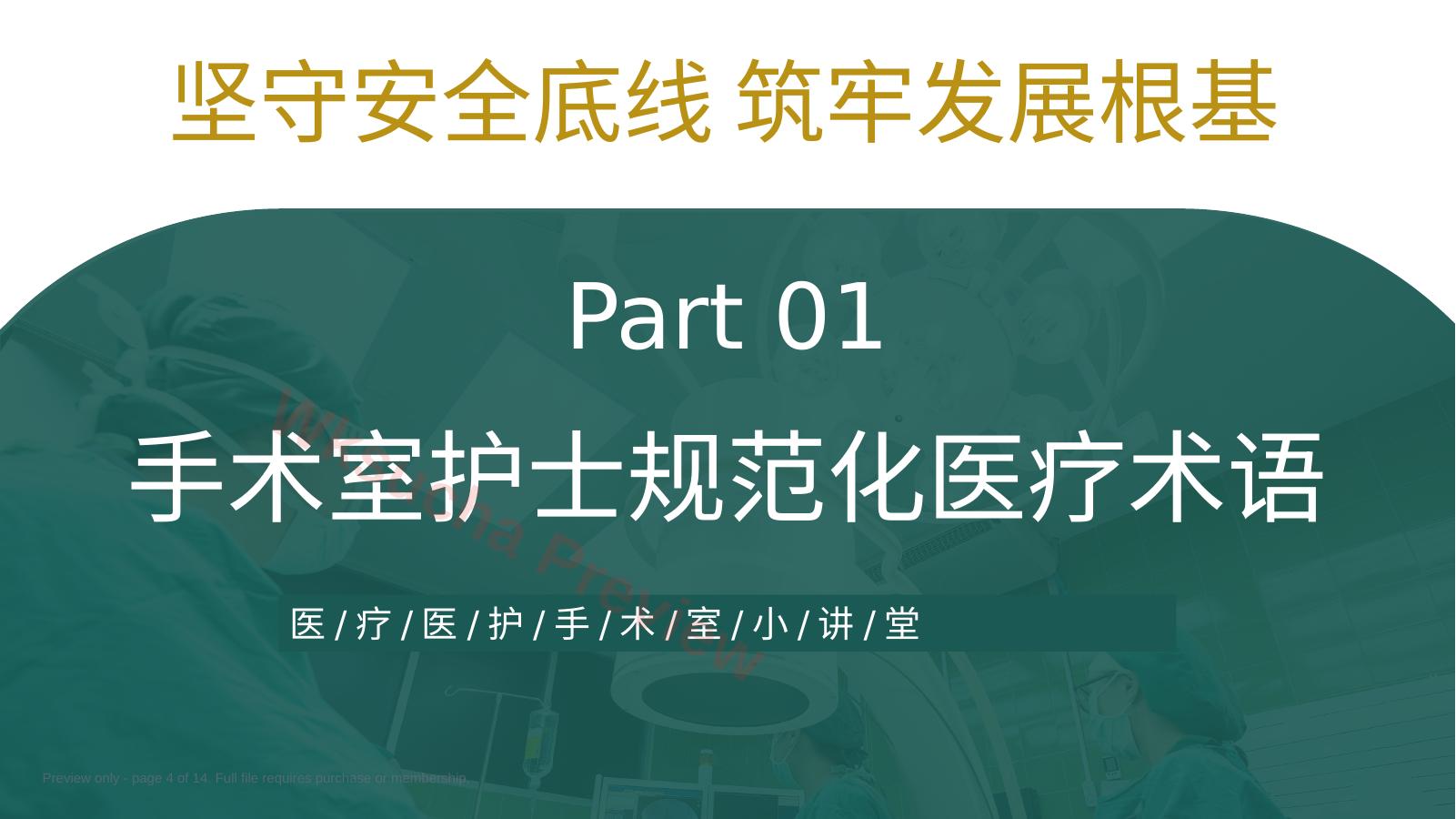 预览第 4 页