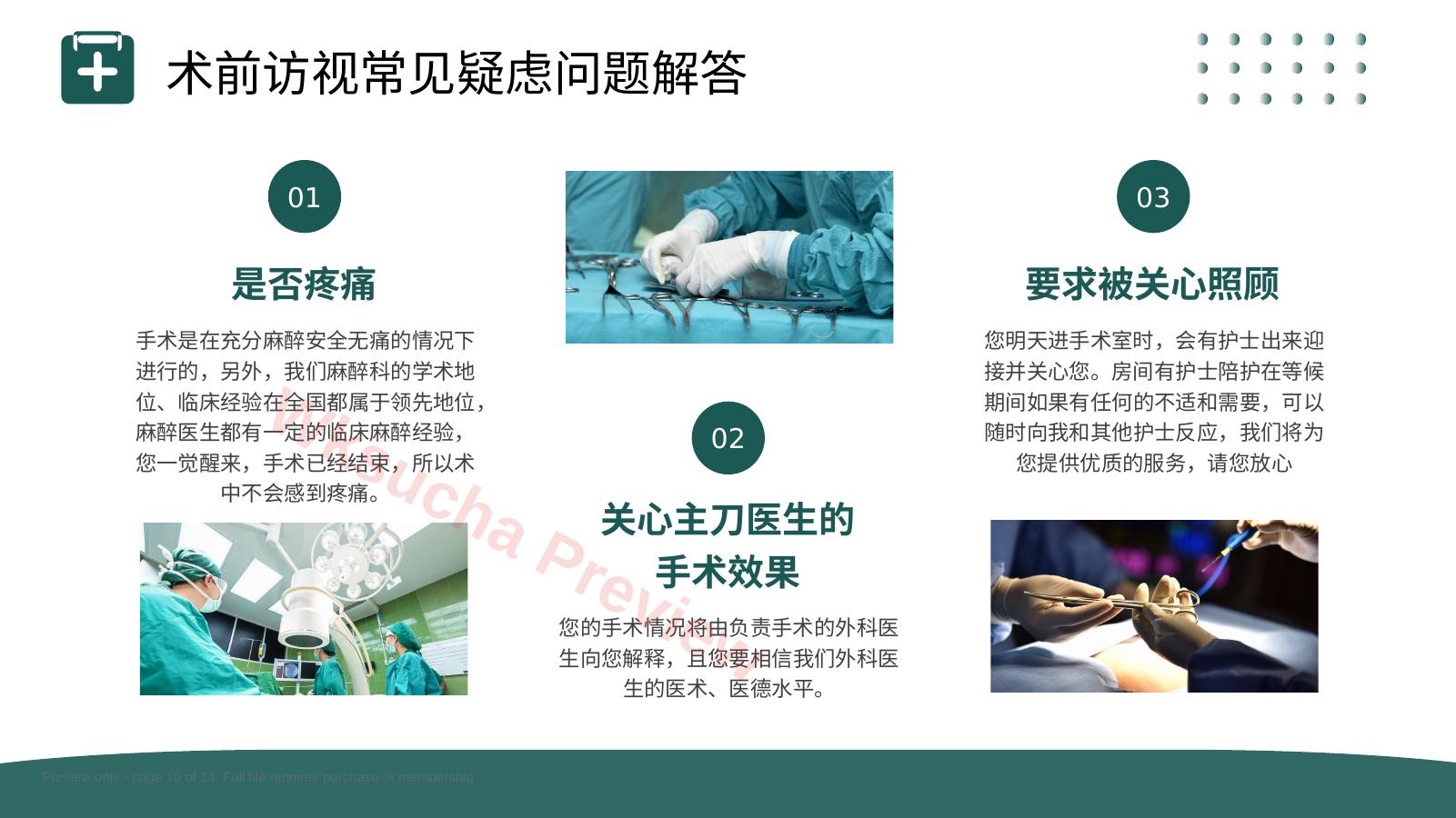 预览第 10 页