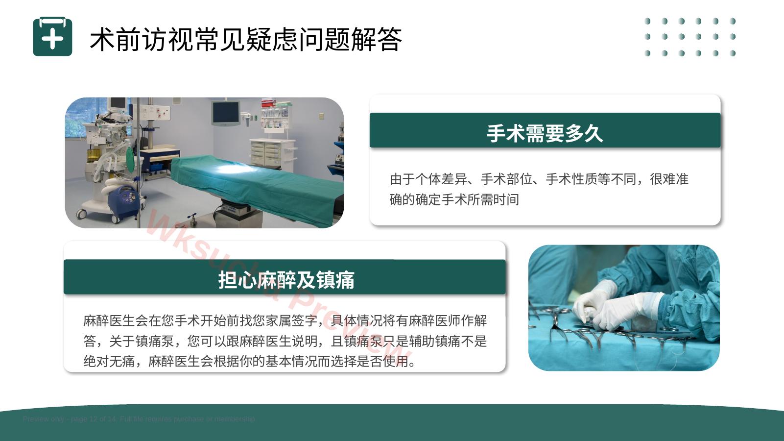 预览第 12 页