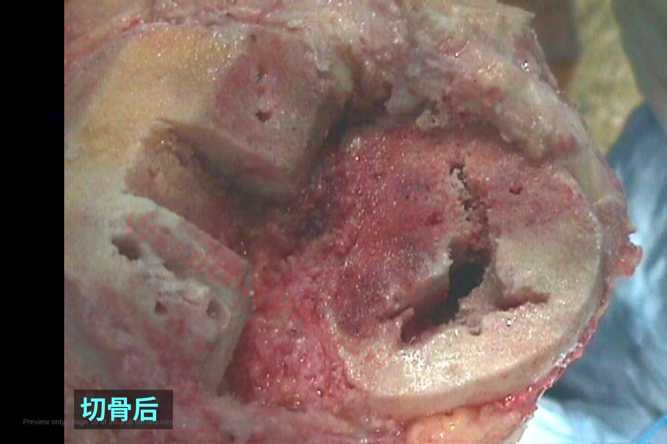 预览第 19 页