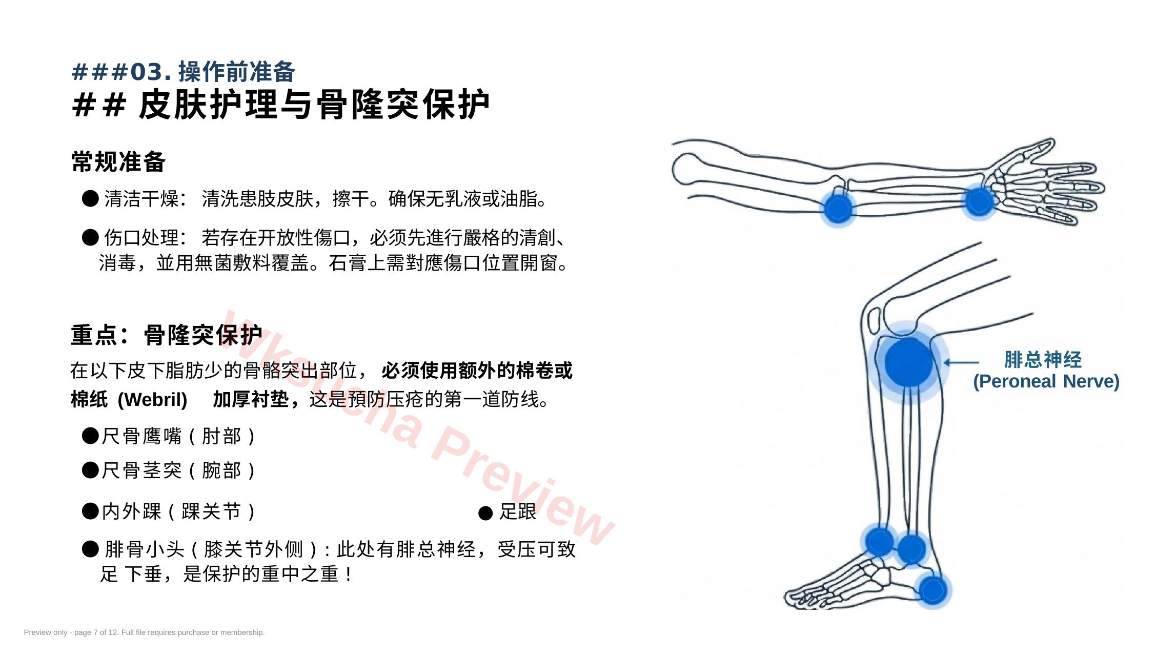 预览第 7 页