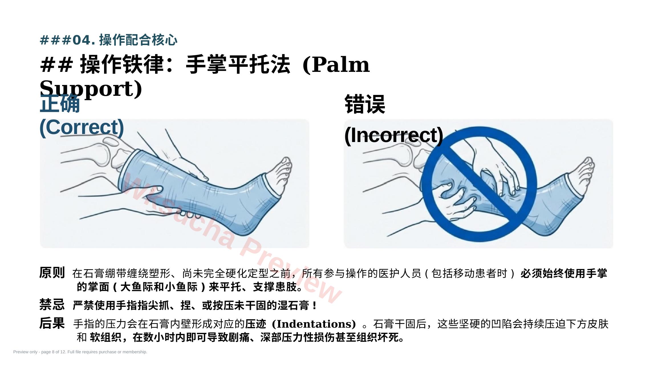 预览第 8 页