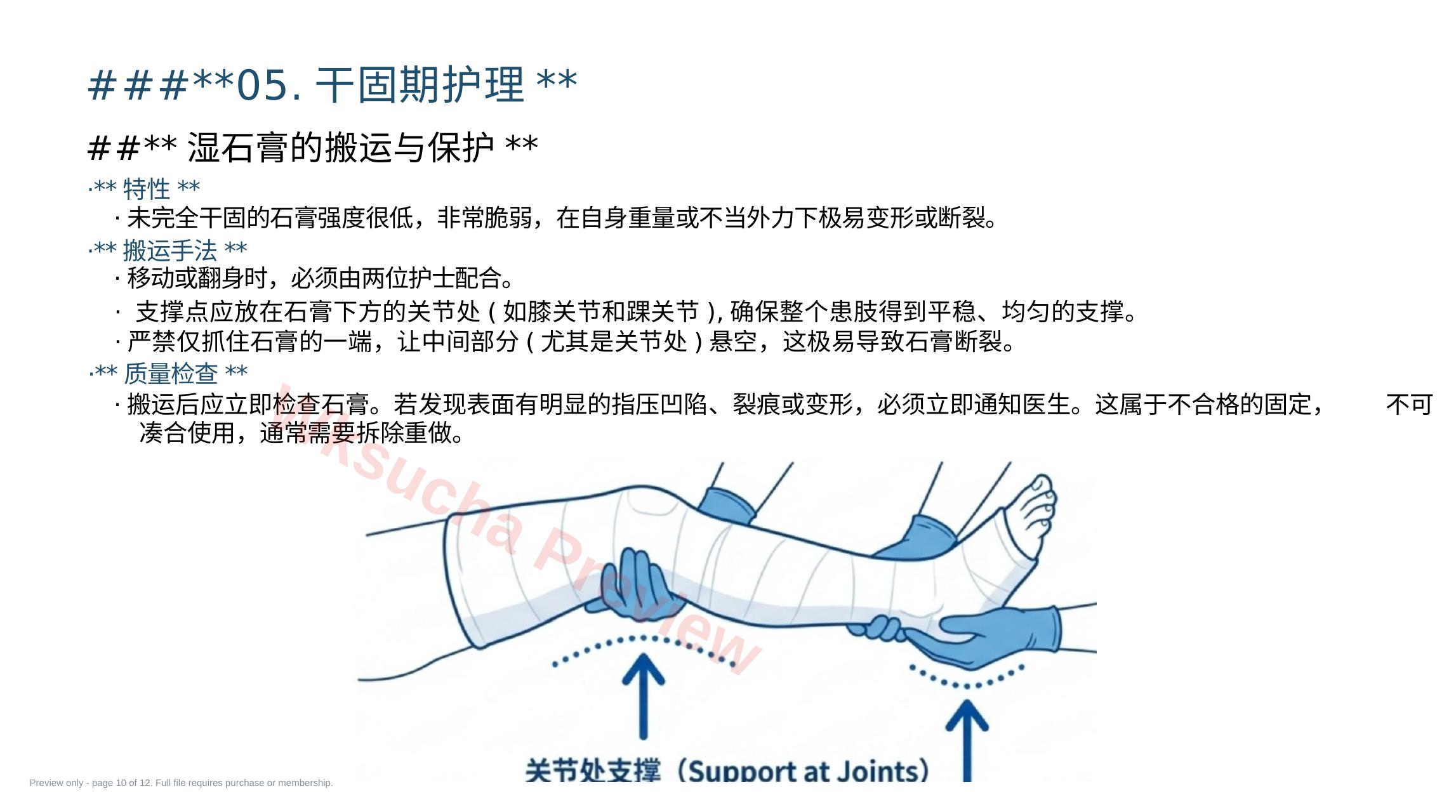 预览第 10 页
