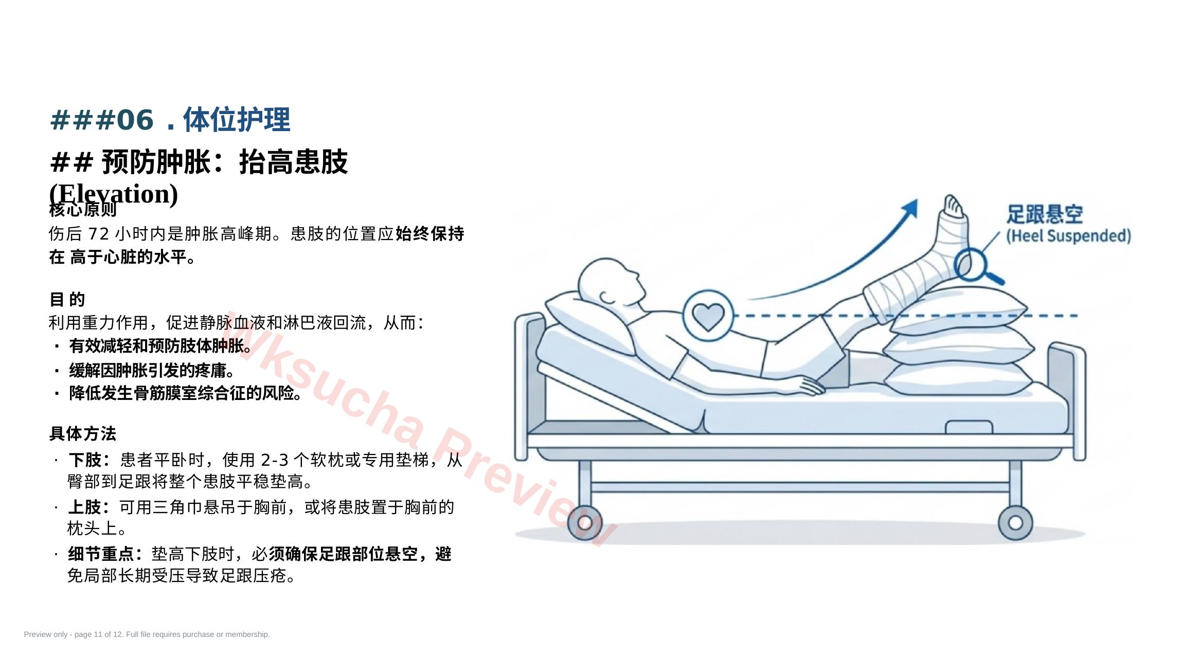 预览第 11 页