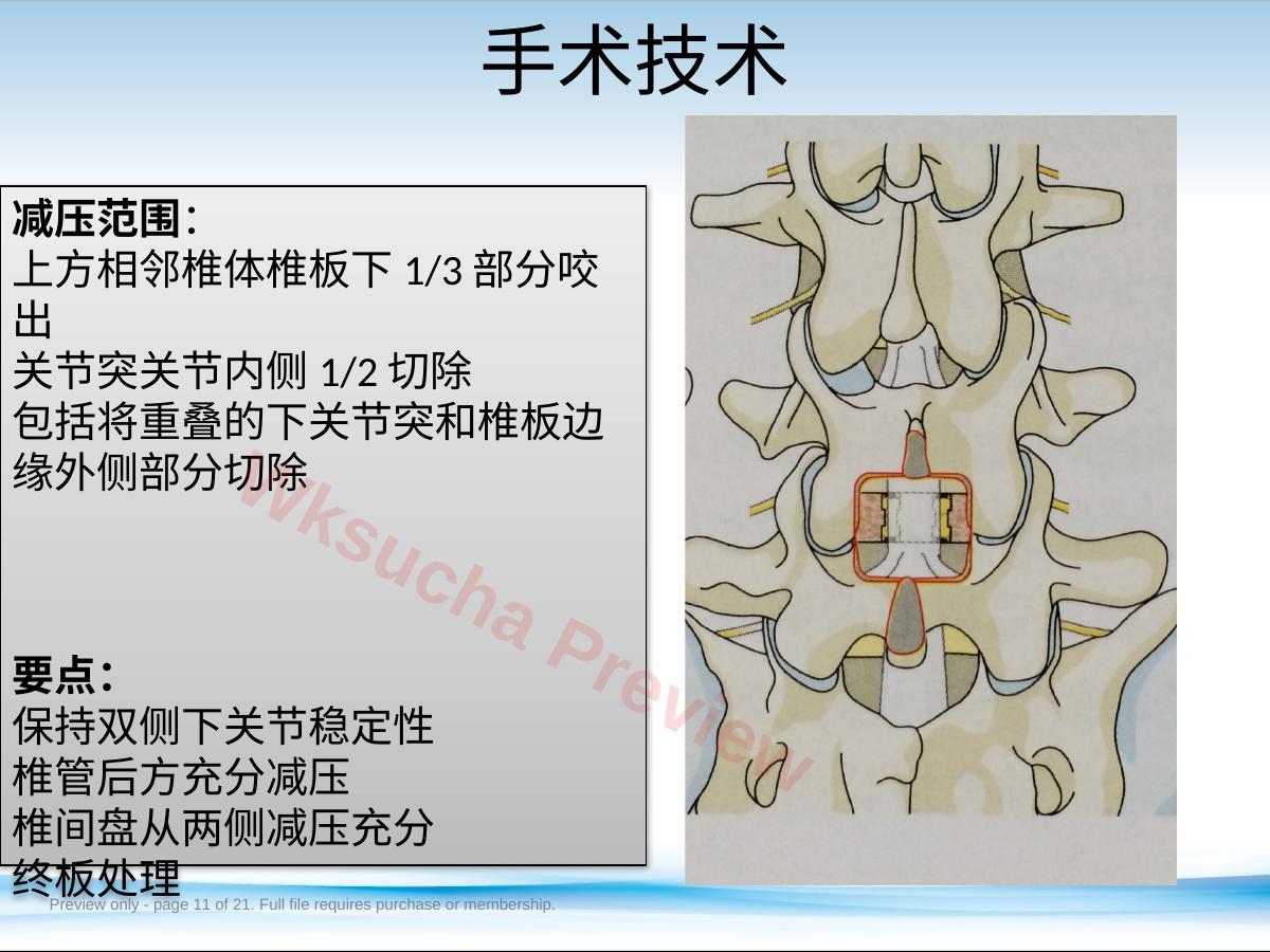 预览第 11 页