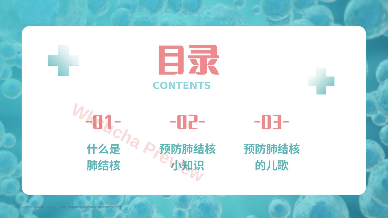 预览第 3 页