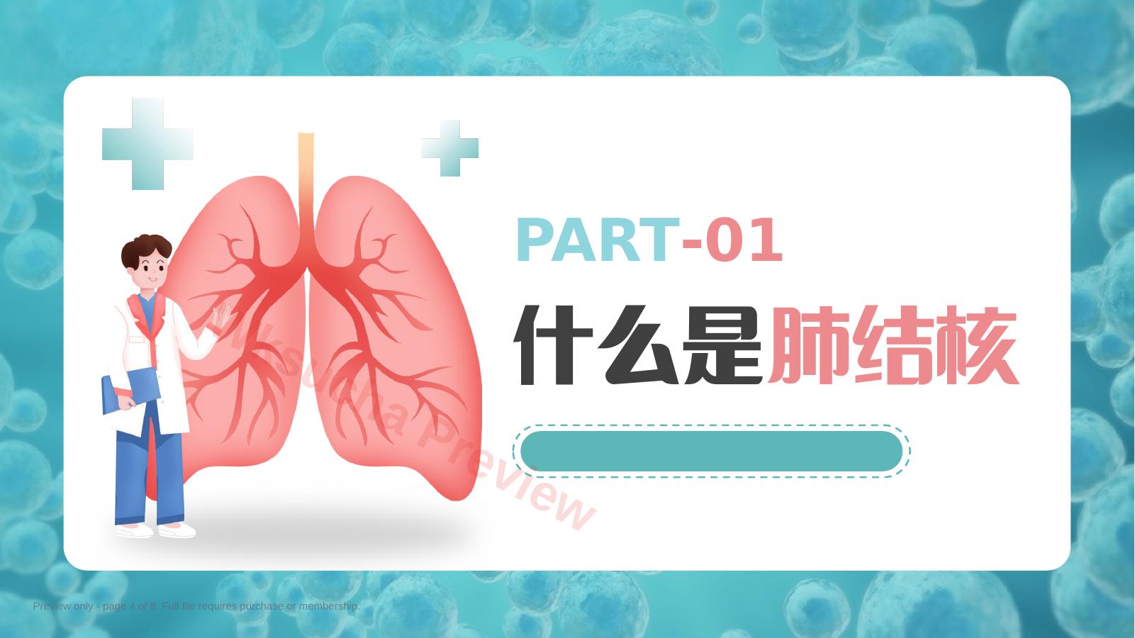 预览第 4 页