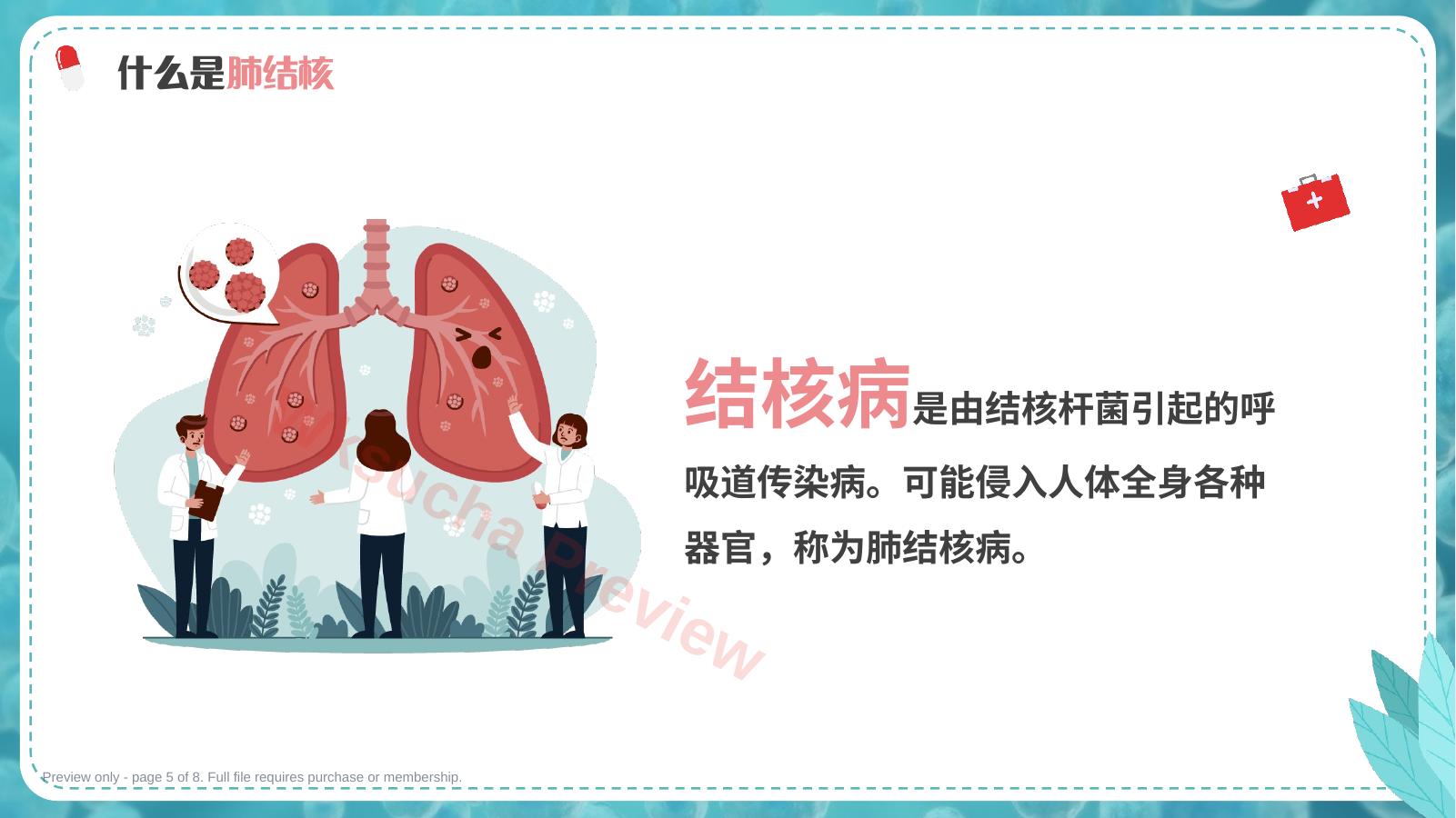 预览第 5 页