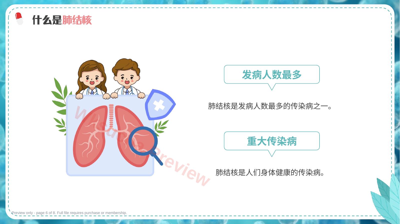 预览第 6 页