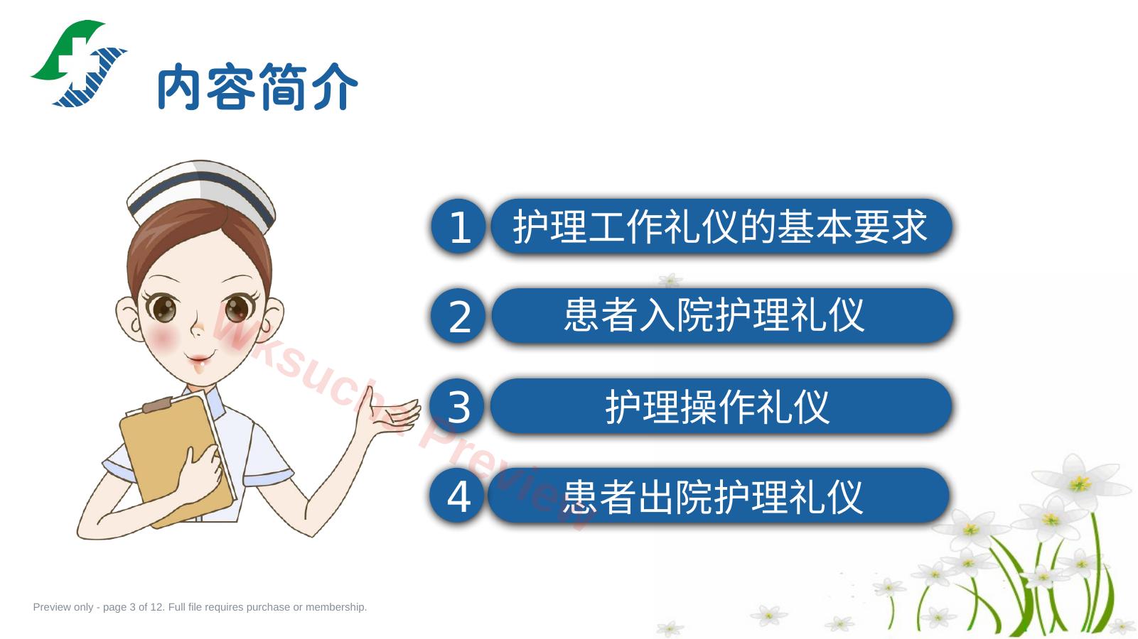 预览第 3 页