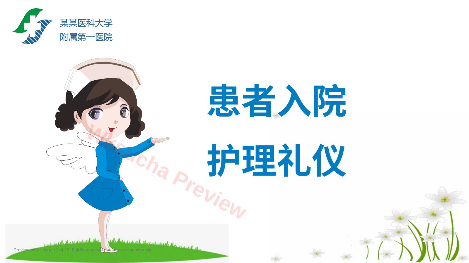 预览第 11 页