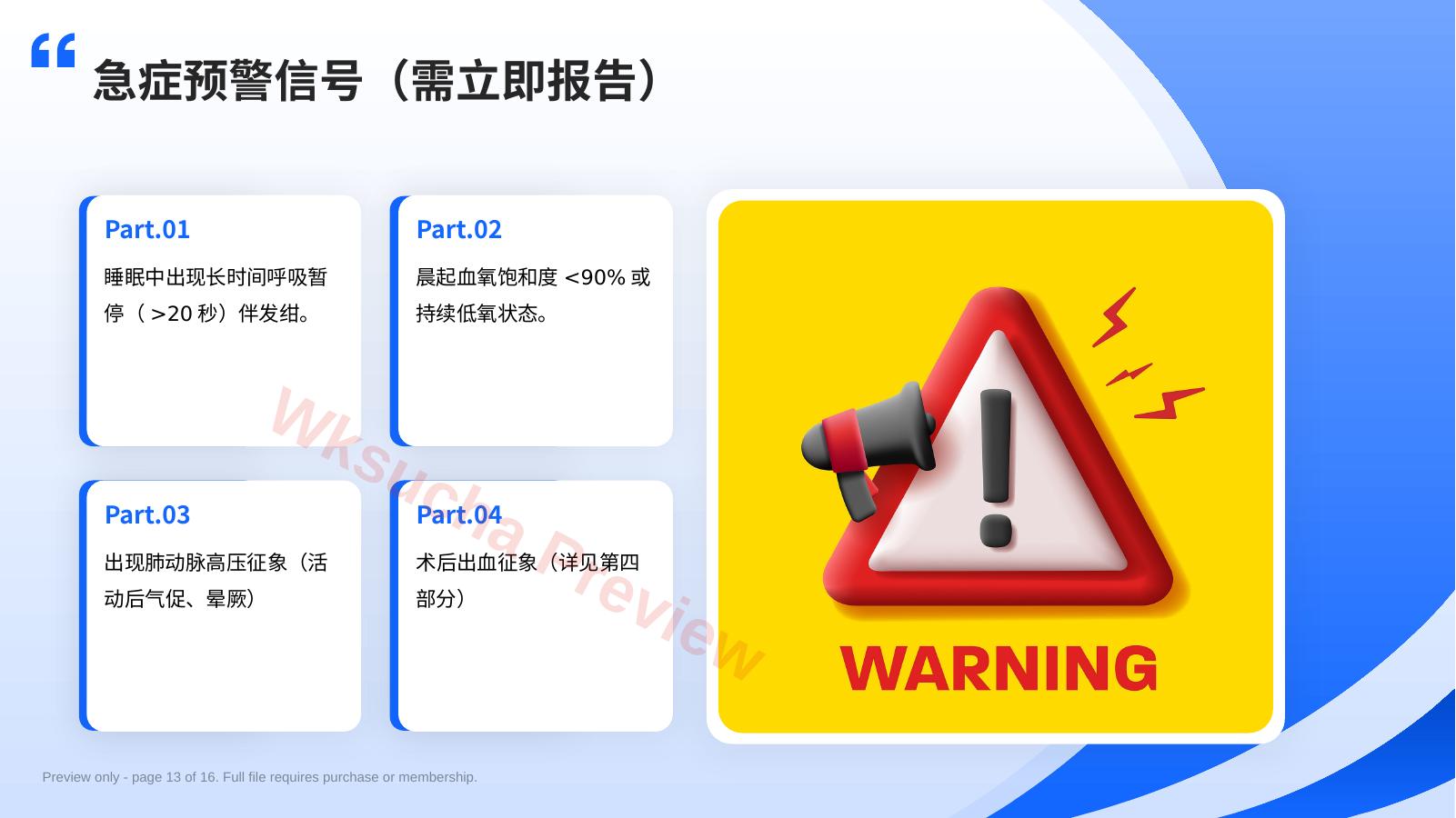 预览第 13 页