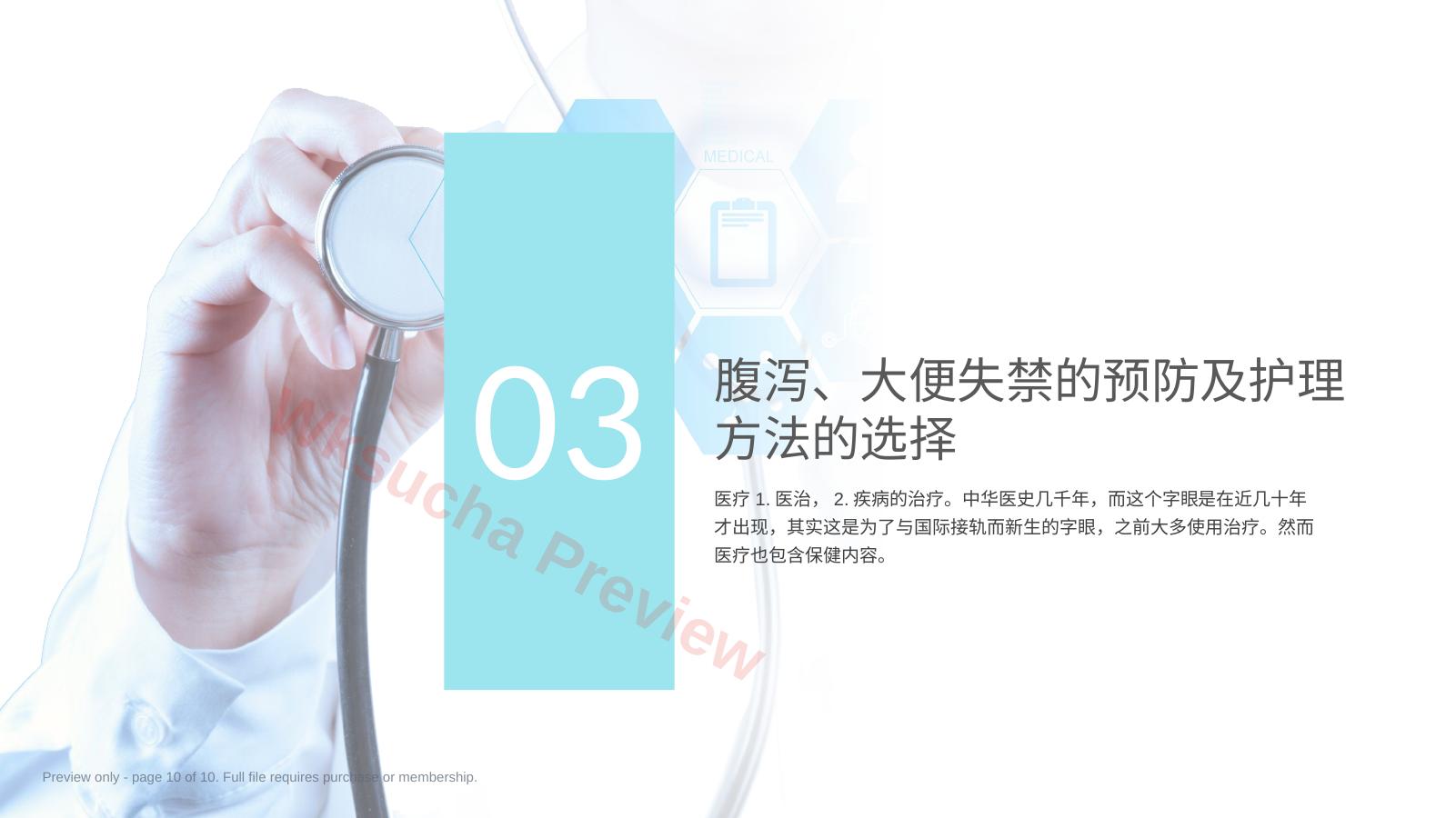 预览第 10 页