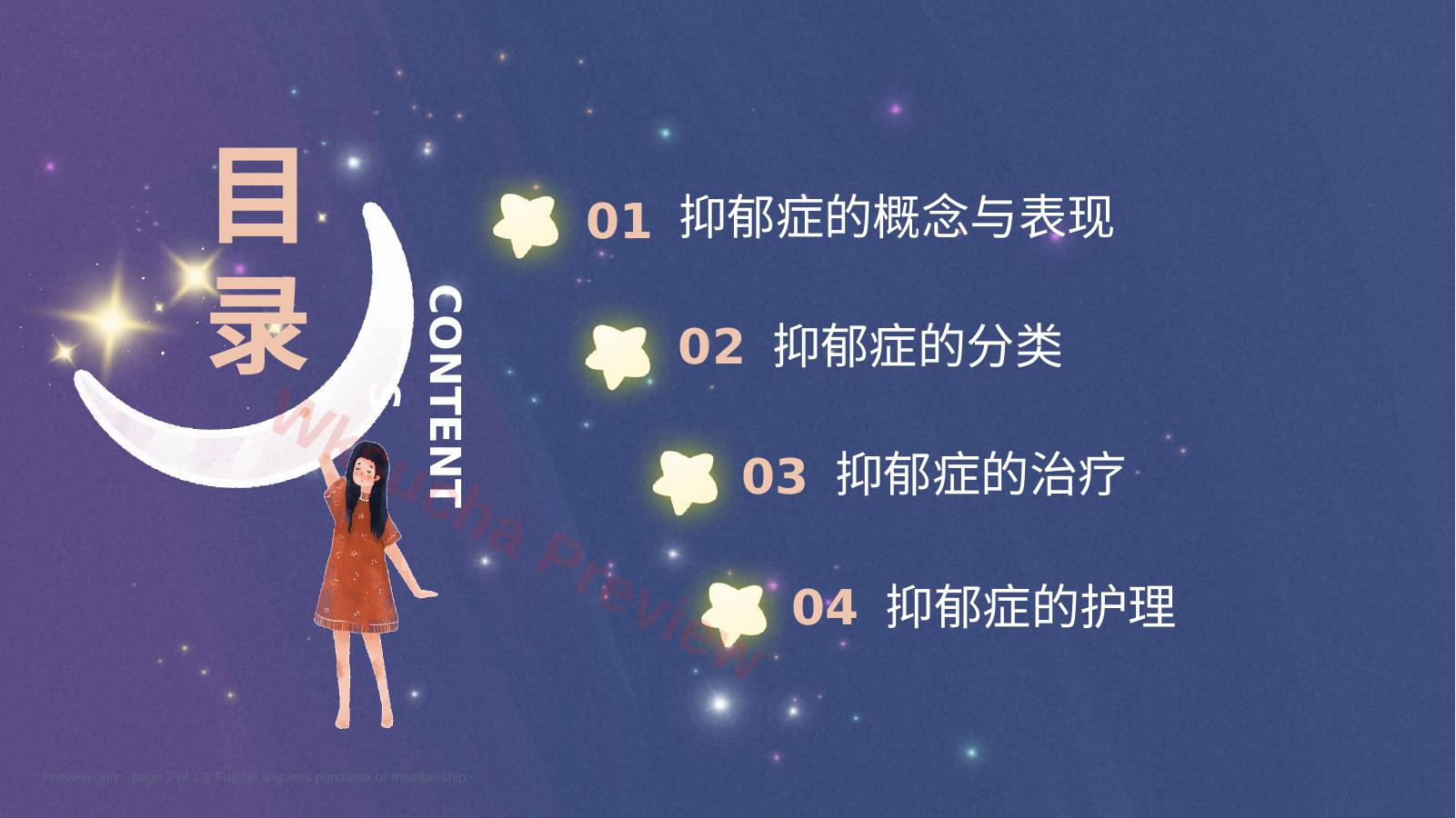 预览第 2 页