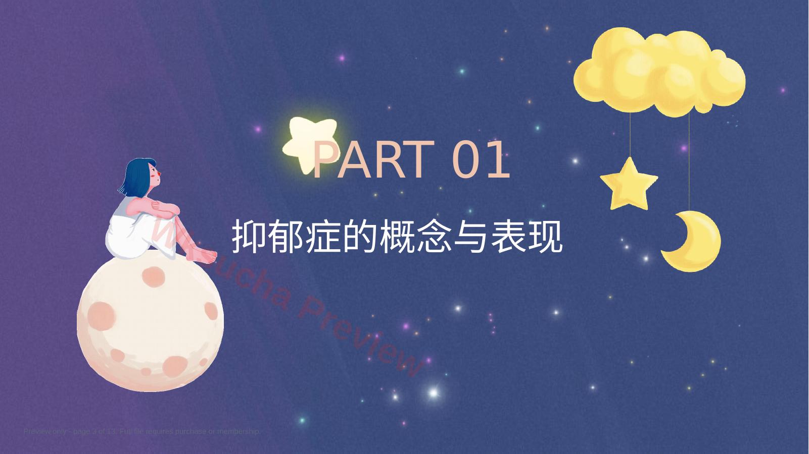 预览第 3 页