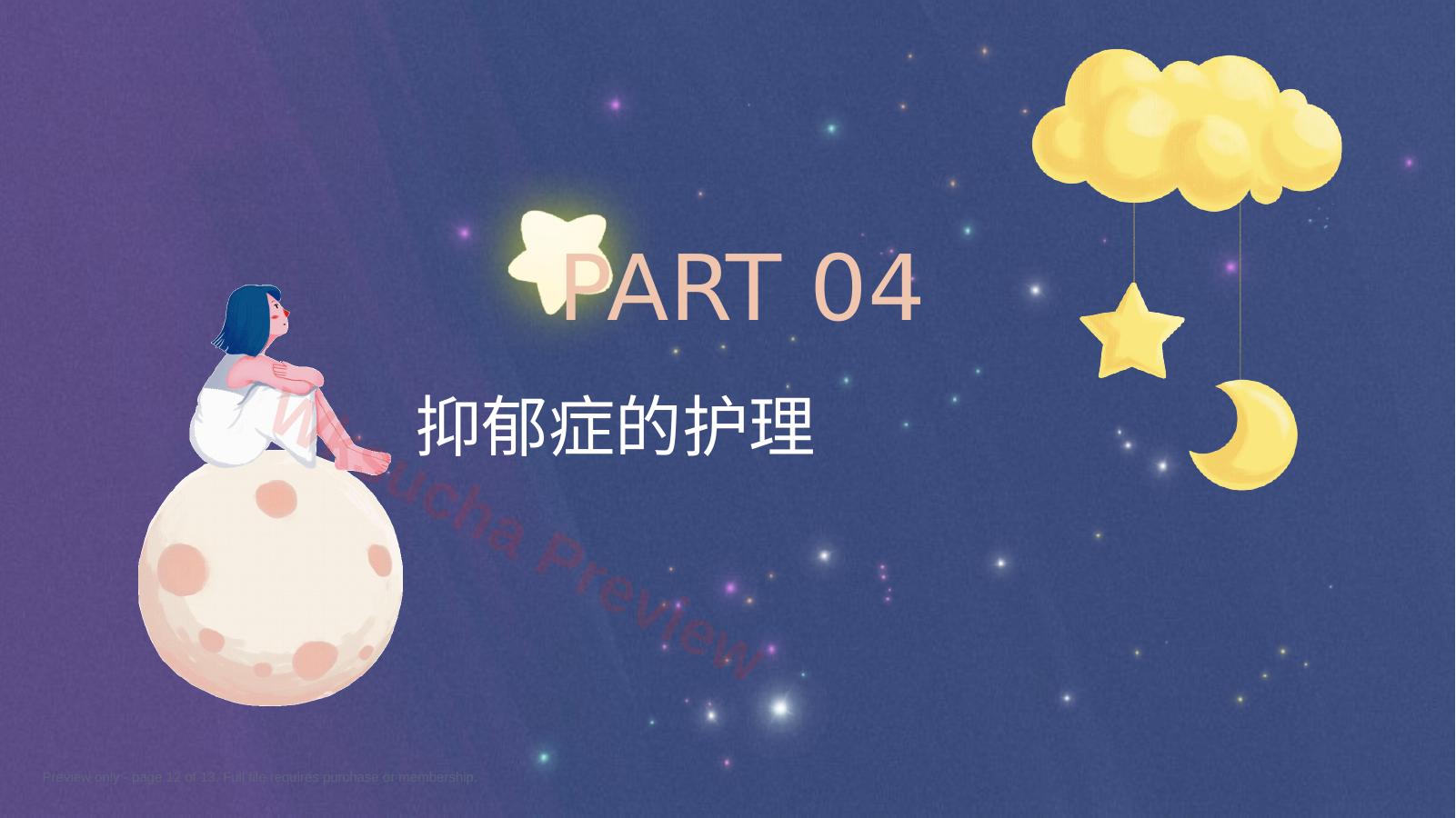 预览第 12 页