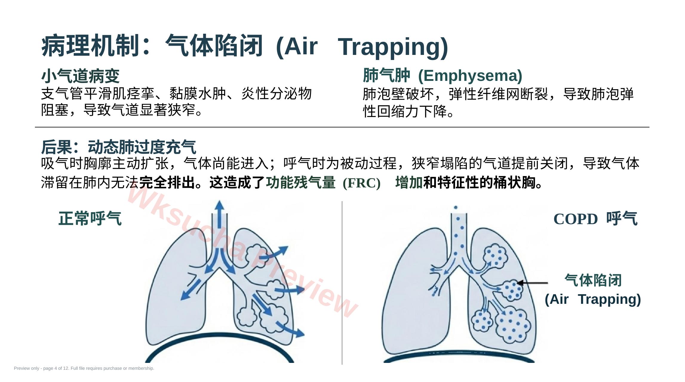 预览第 4 页