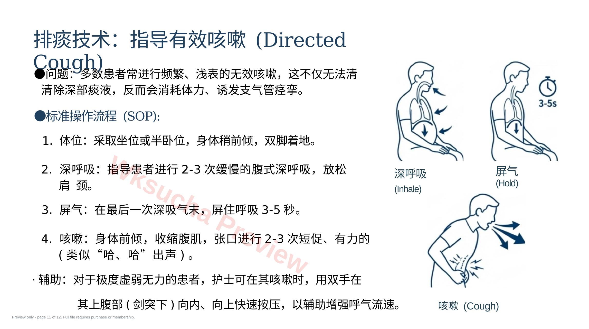 预览第 11 页