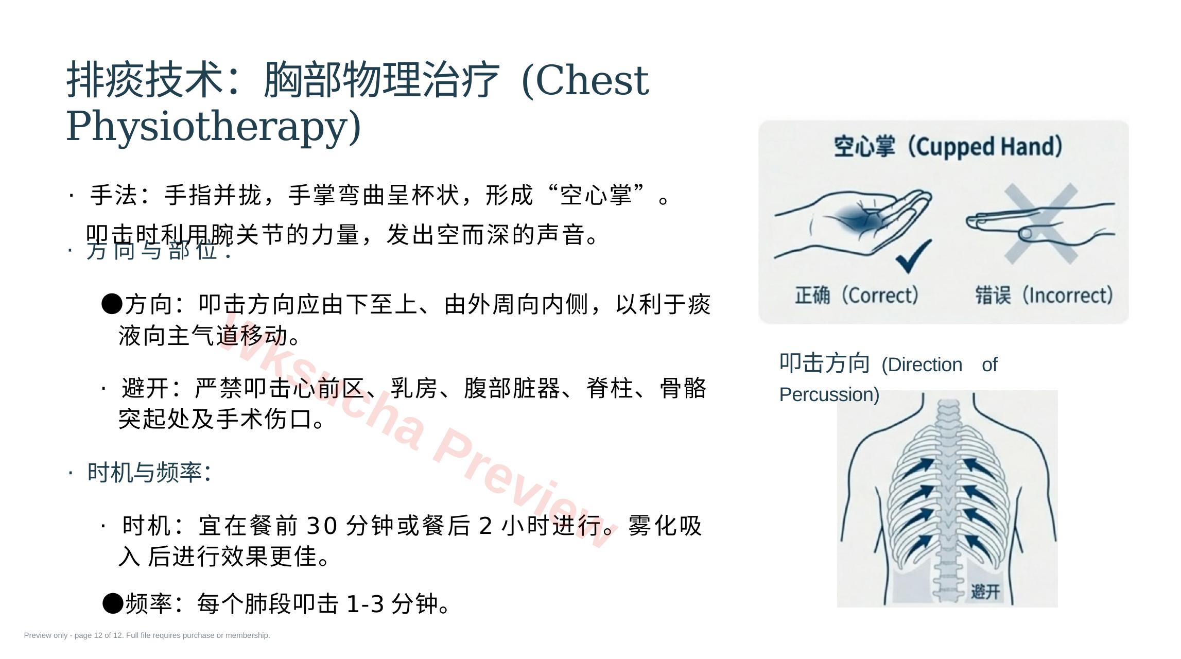 预览第 12 页