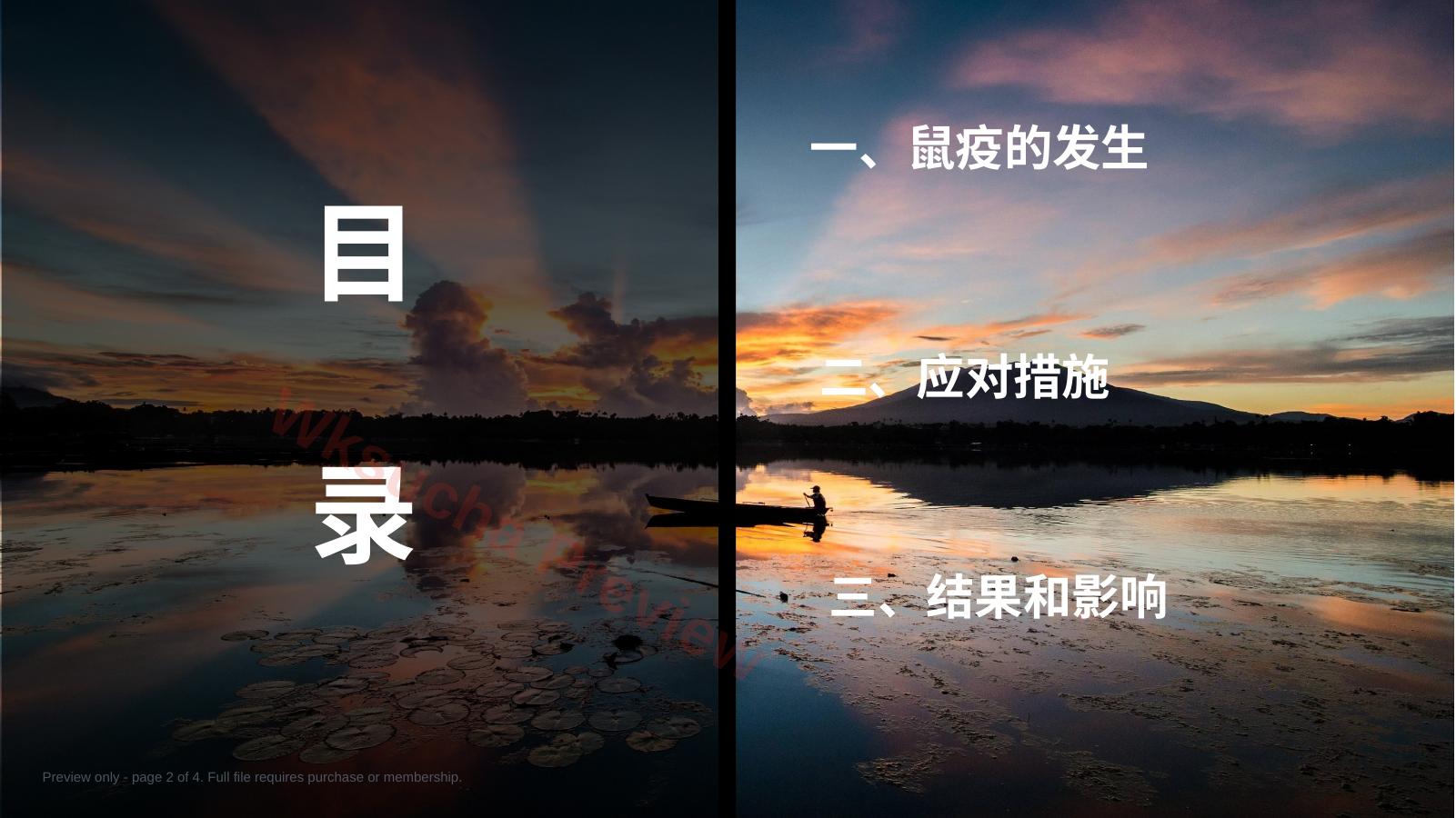 预览第 2 页