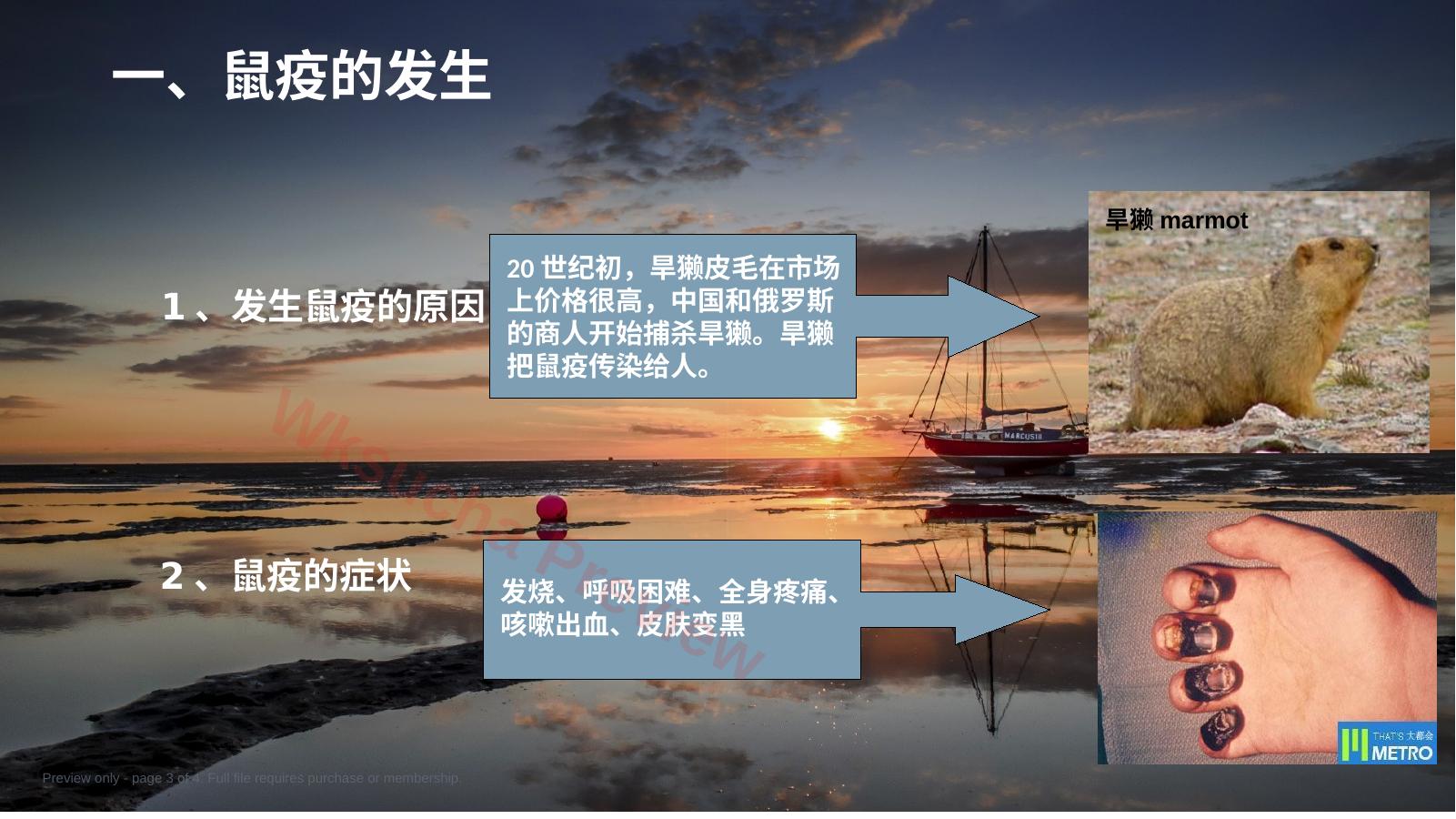预览第 3 页