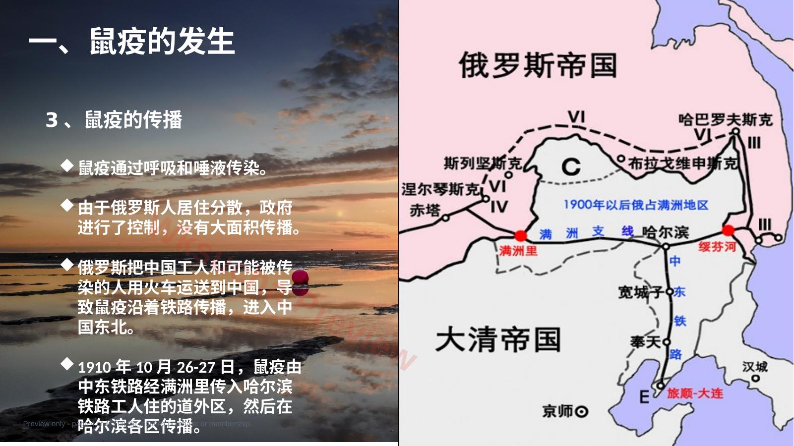 预览第 4 页