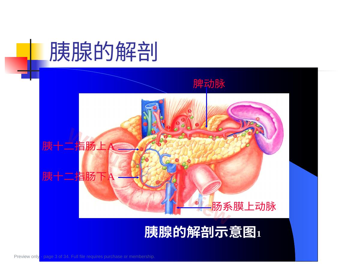 预览第 3 页