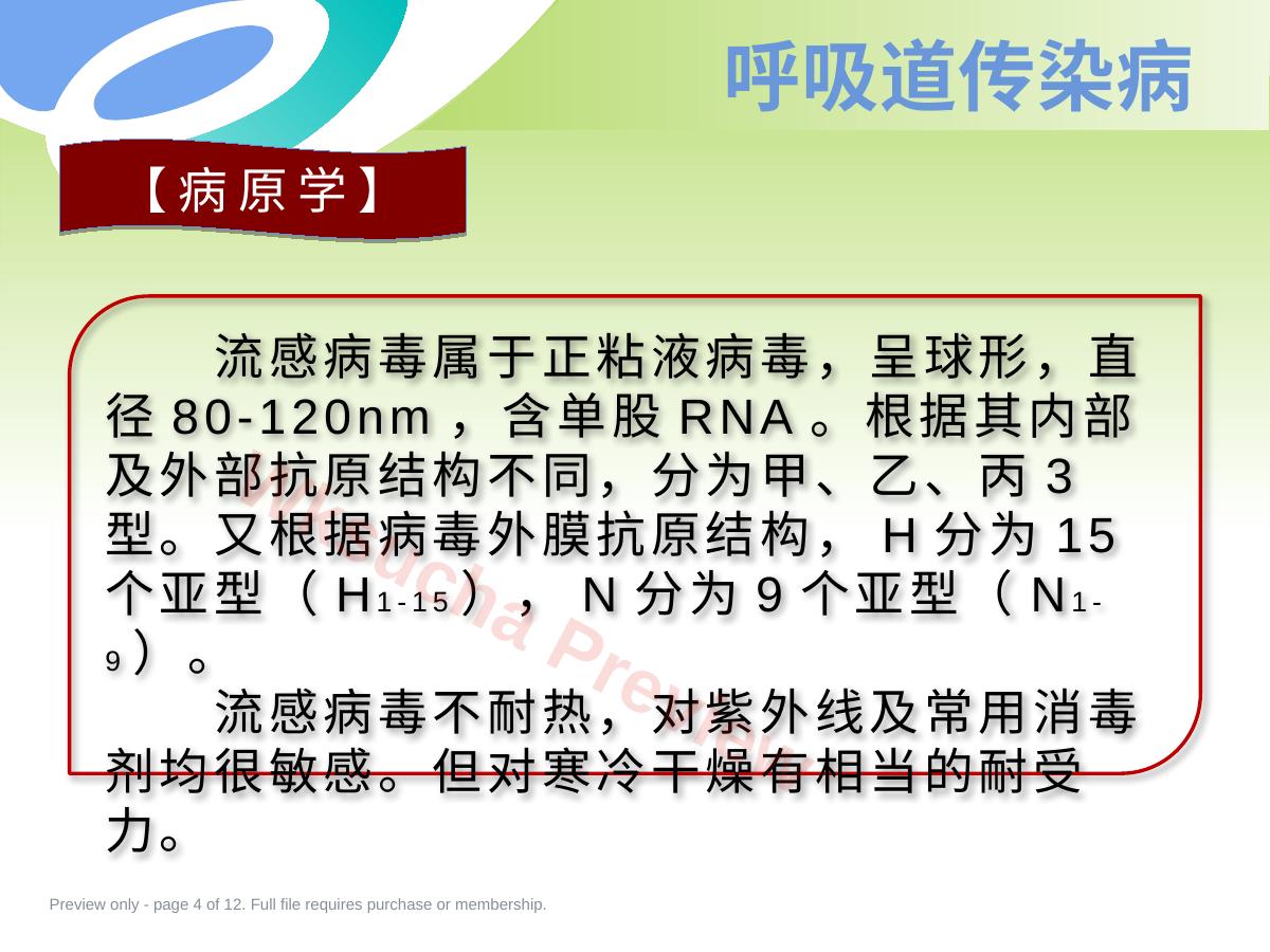 预览第 4 页