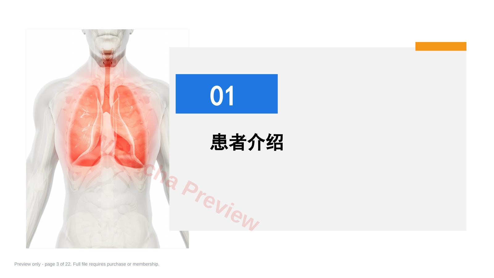 预览第 3 页