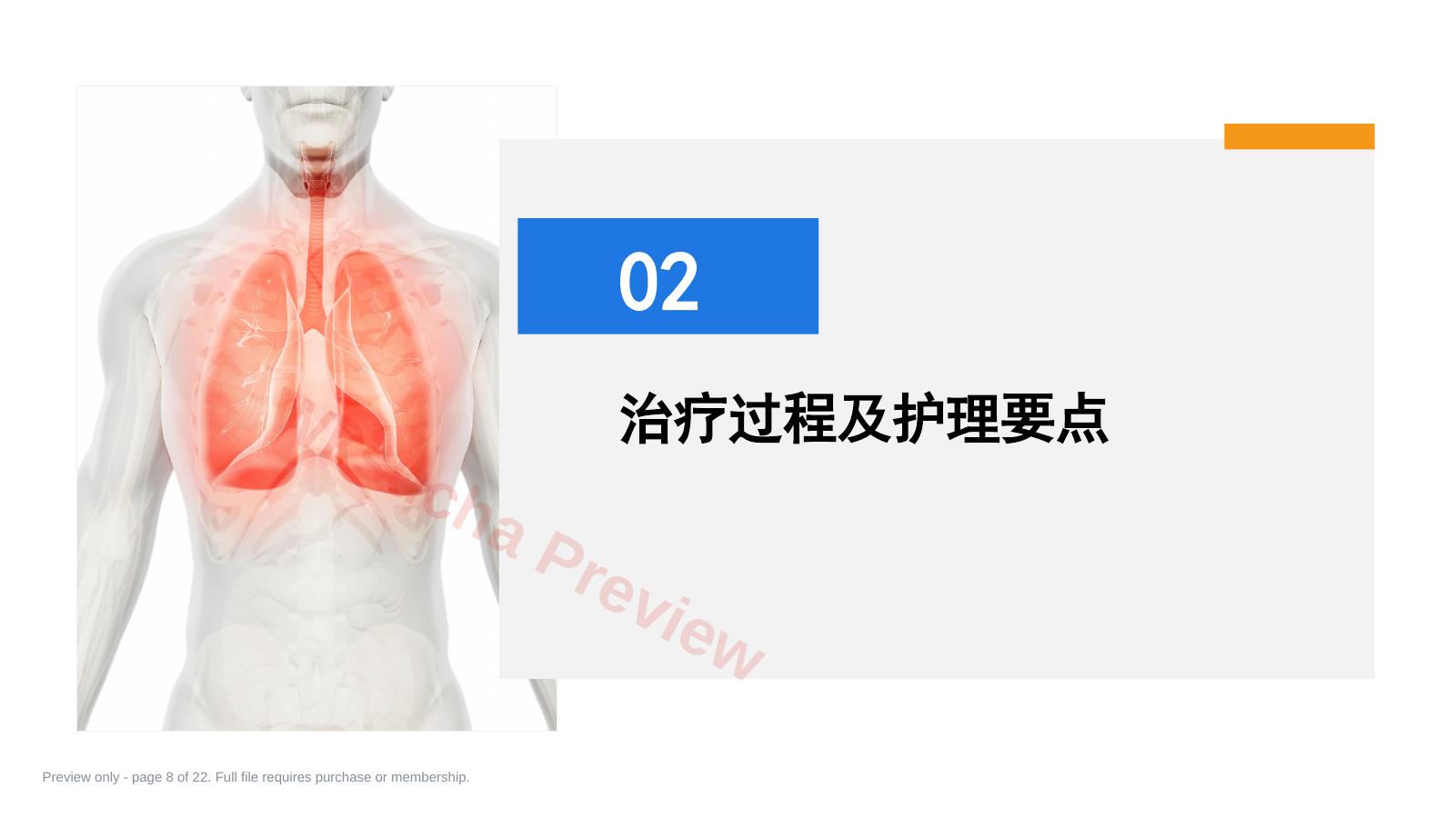 预览第 8 页