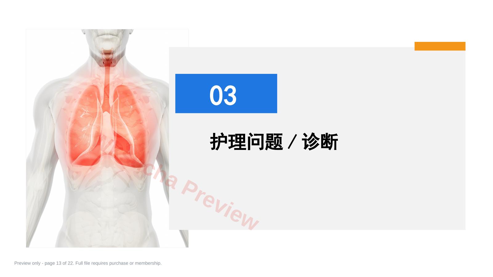 预览第 13 页