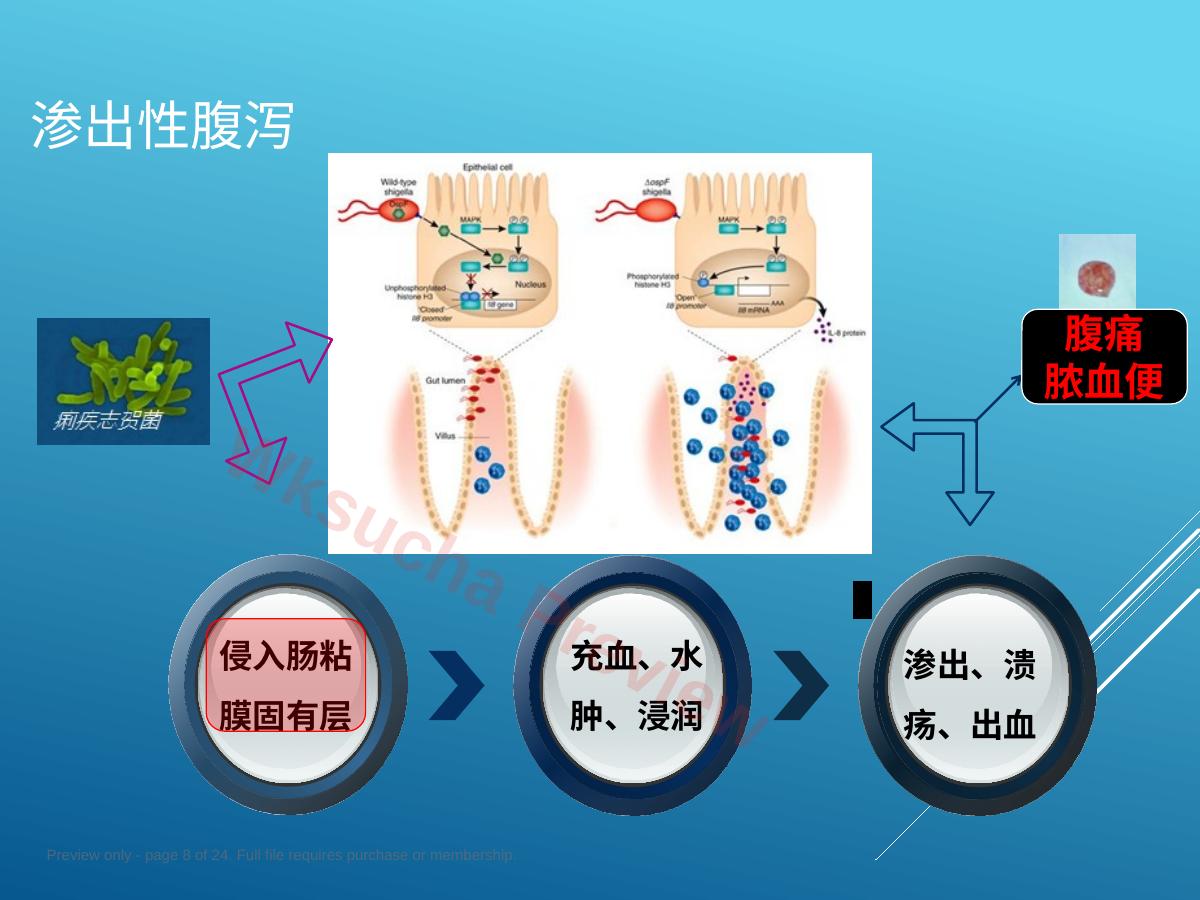 预览第 8 页