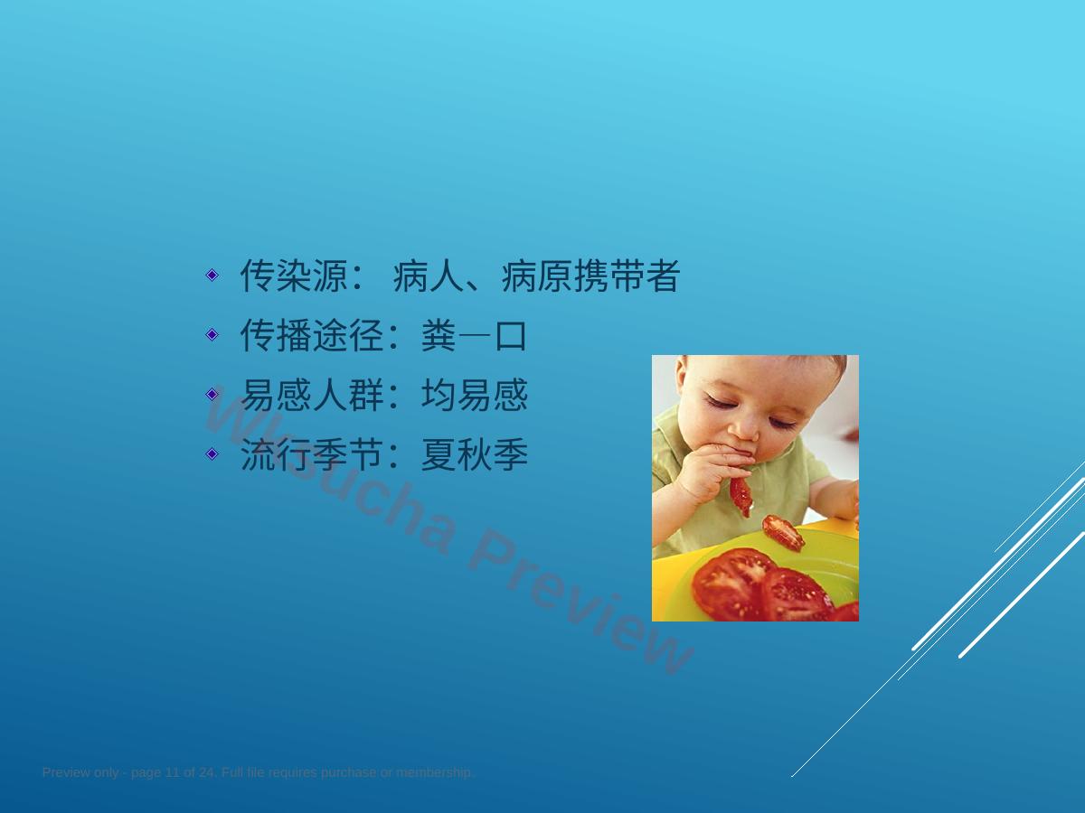 预览第 11 页
