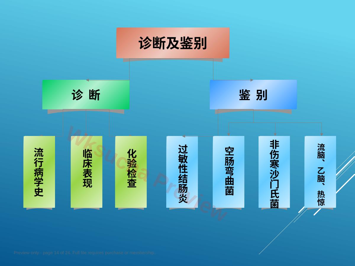 预览第 14 页