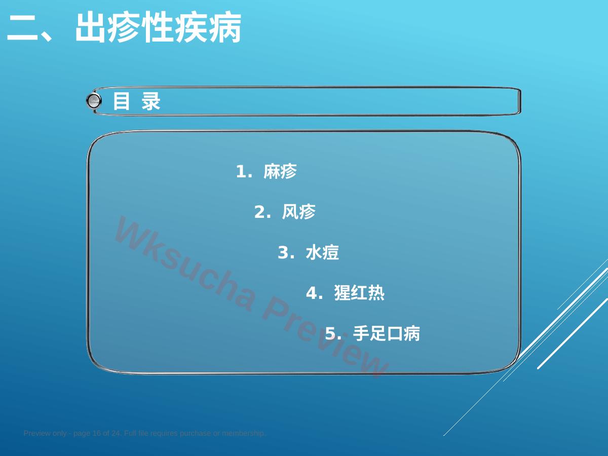 预览第 16 页